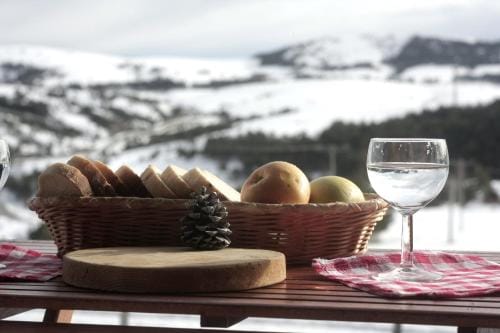 Planinarski dom "Tornik" Zlatibor Hostel in Zlatibor