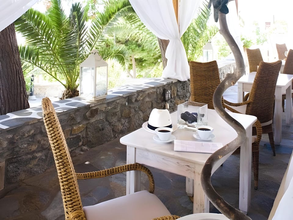 Elena Hotel Hotel in Mykonos
