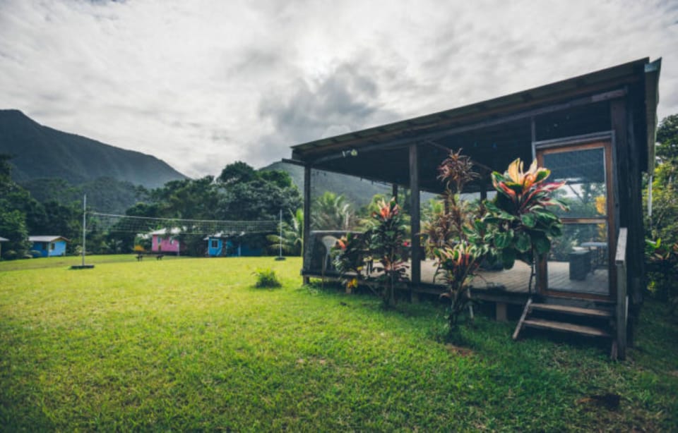 T.R.E.E.S Research Center and Eco Lodge Hotel in Stann Creek District