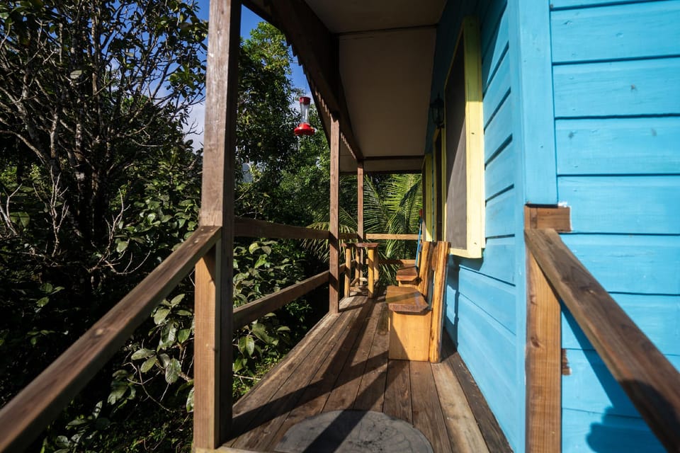 T.R.E.E.S Research Center and Eco Lodge Hotel in Stann Creek District
