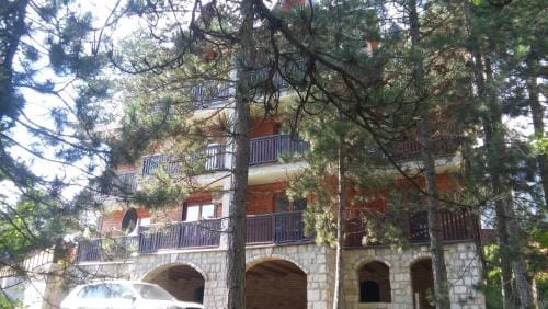 Apartmani Sredojevic Lodge in Zlatibor District, Serbia