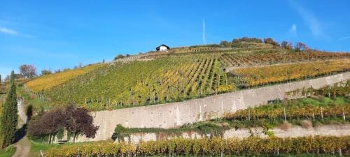 Gastehaus zum Schlossberg Hotel in Baden-Württemberg