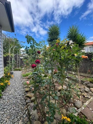 Rose house Hotel in Auckland