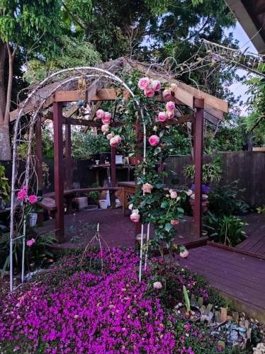 Rose house Hotel in Auckland