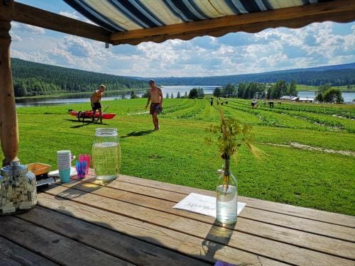 Skatauddens Lantgard Lodge in Norrbotten County, Sweden