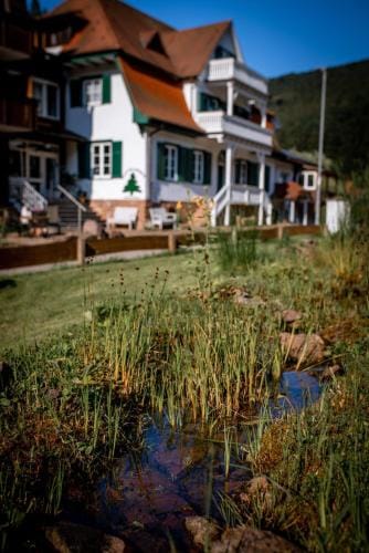 Waldquelle Vital Gastehaus Hotel in Hesse