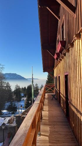 Halleinerhaus by Soul Rebels Lodge in Salzburgerland