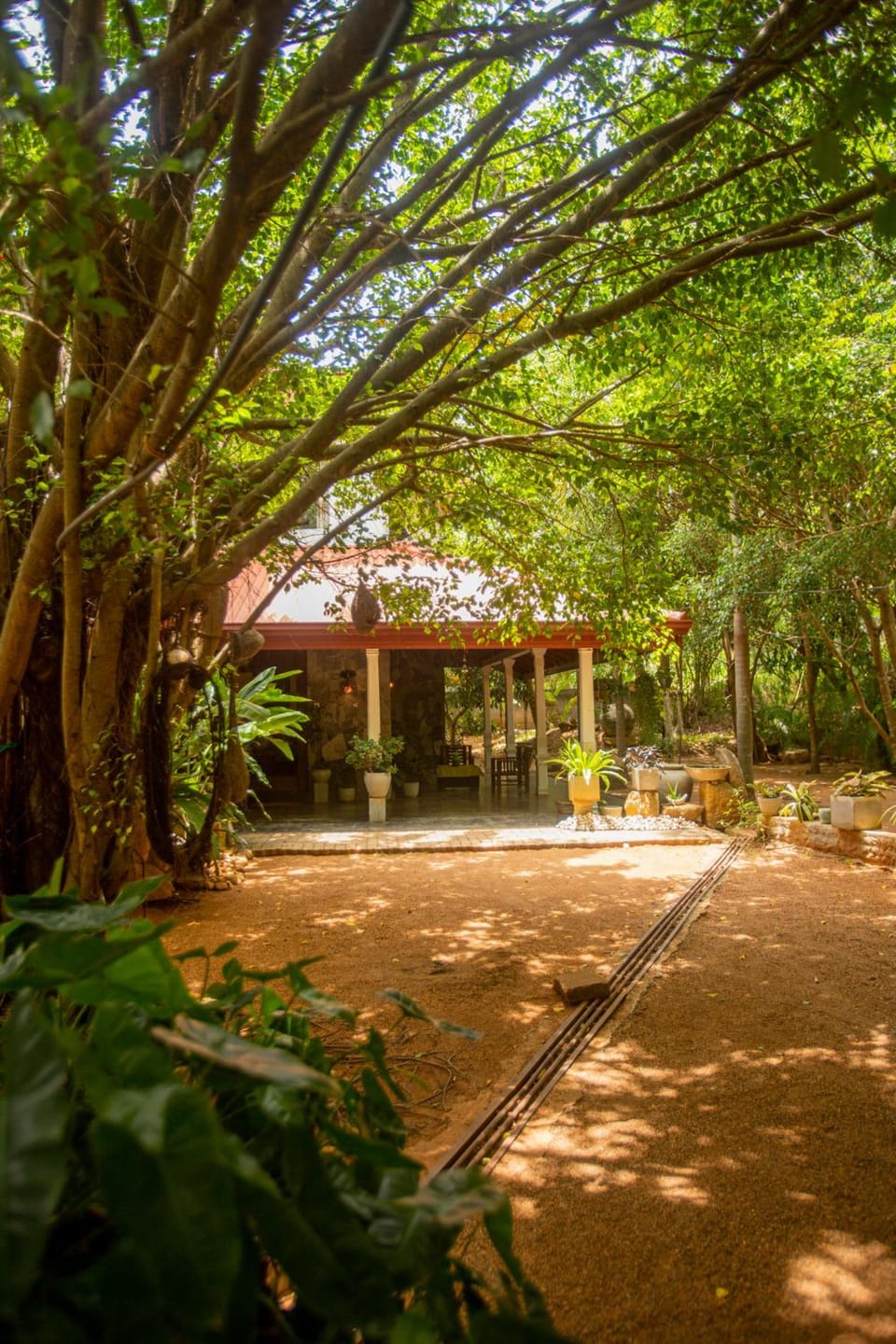 Evergreen Hotel Dambulla Hotel in Dambulla