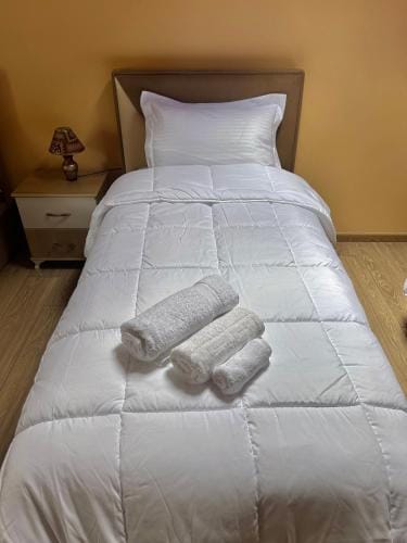 Vila Bashllari Hotel in North Macedonia