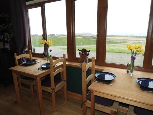 Viking's View BnB Hotel in Scotland