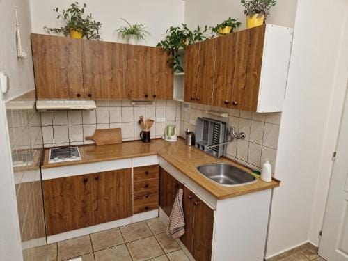 penzion U losa Hotel in Erzgebirgskreis