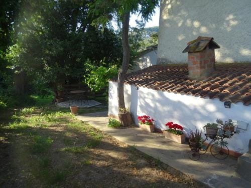 Camera D'Ambra Hotel in San Vincenzo