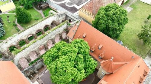 Stiftung Kloster und Kaiserpfalz Memleben Hotel in Thuringia, Germany