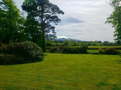 Bryansford Cottage Hotel in Northern Ireland