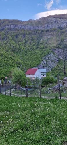 Bujtina Mark Alia Hotel in Montenegro
