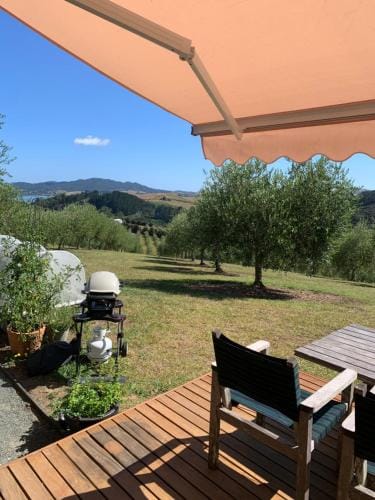 Private Olive Grove Studio Hotel in Northland