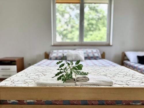 Anit Rooms Lodge in Kotor Municipality
