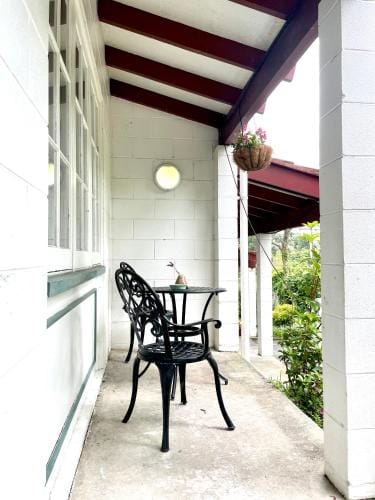 Browns Bay Olive Tree - Pet Friendly Family Apartment Hotel in Auckland