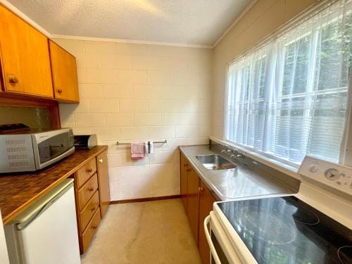 Browns Bay Olive Tree - Pet Friendly Family Apartment Hotel in Auckland