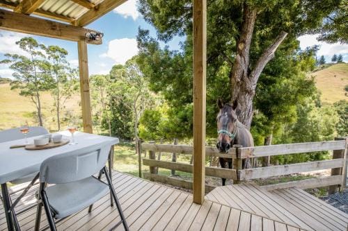Private Cabin close to the City Centre Hotel in Whangārei