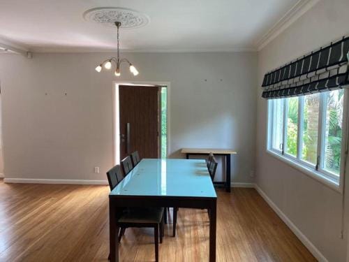KK Boarding Holiday house Hotel in Hamilton