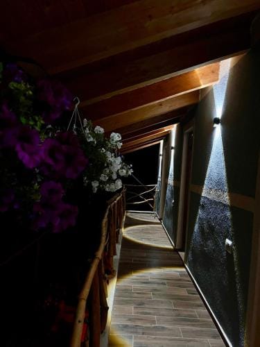 Velaj Guest House Hotel in Vlorë County, Albania