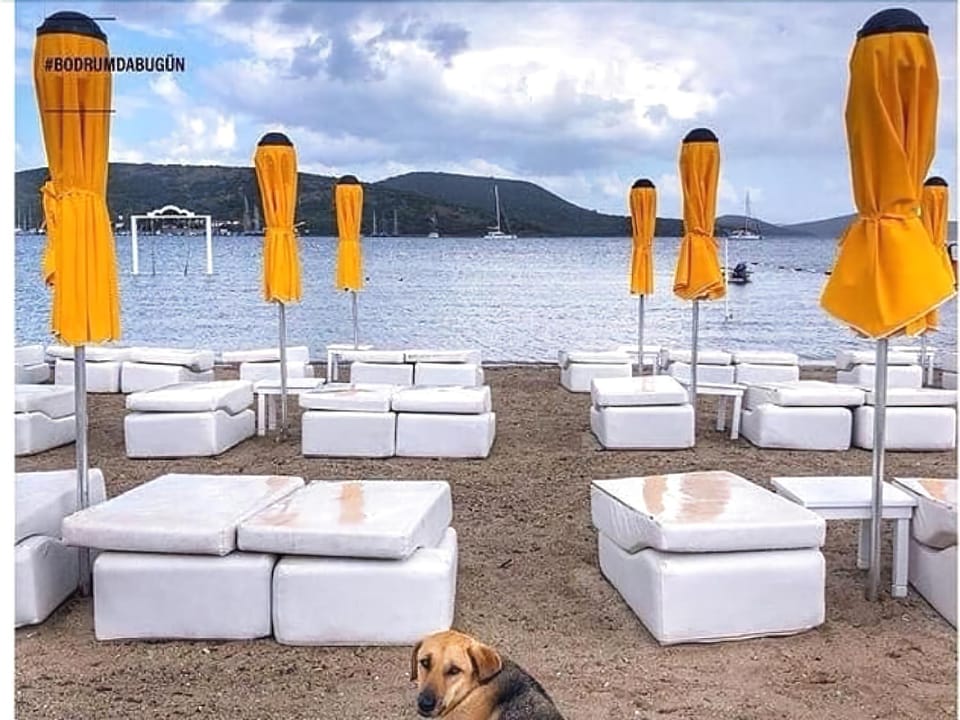 WB WEEKEND HOTEL AND SUITES Hotel in Bodrum