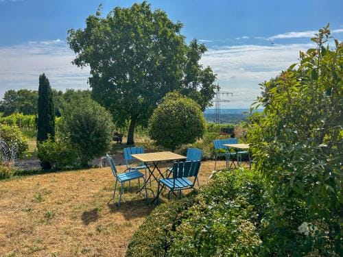 Villa am Weinberg mit Garten großzugig und exklusiv Hotel in Oestrich-Winkel