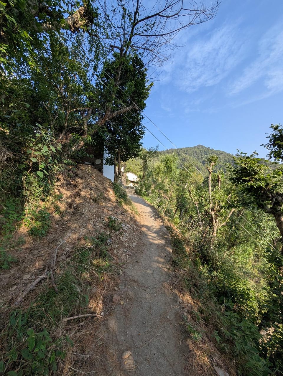 The Himalayan House Bed and Breakfast in Himachal Pradesh