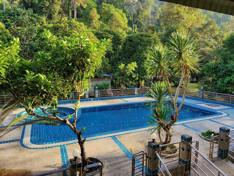 Swimming pool [outdoor]