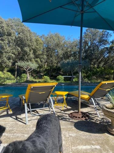 Petite Maison provencale Hotel in Provence-Alpes-Côte d'Azur