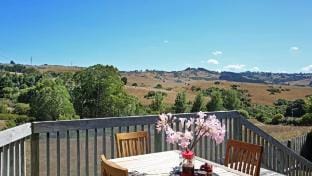 Cozy FarmStay with Spa Hotel in Waikato