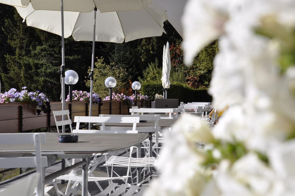 Chez Elsy - Crans-Sapins Hotel in Sierre