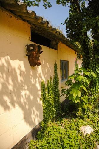 Bed & Breakfast de Kreitsberg Hotel in Limburg (province)