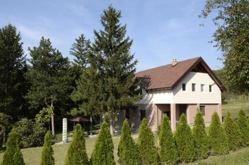 Vila Davidovic-Fruska gora Hotel in Vojvodina