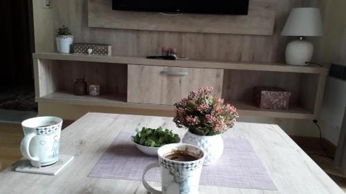 Apartman Nana Svetogorska 19 ,stan 17 Hotel in Zlatibor