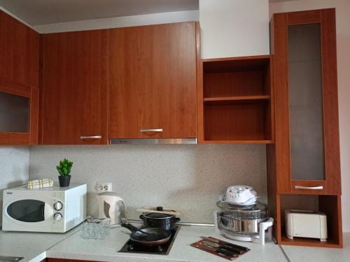 103 - Large 2 bed apartment Hotel in Bansko