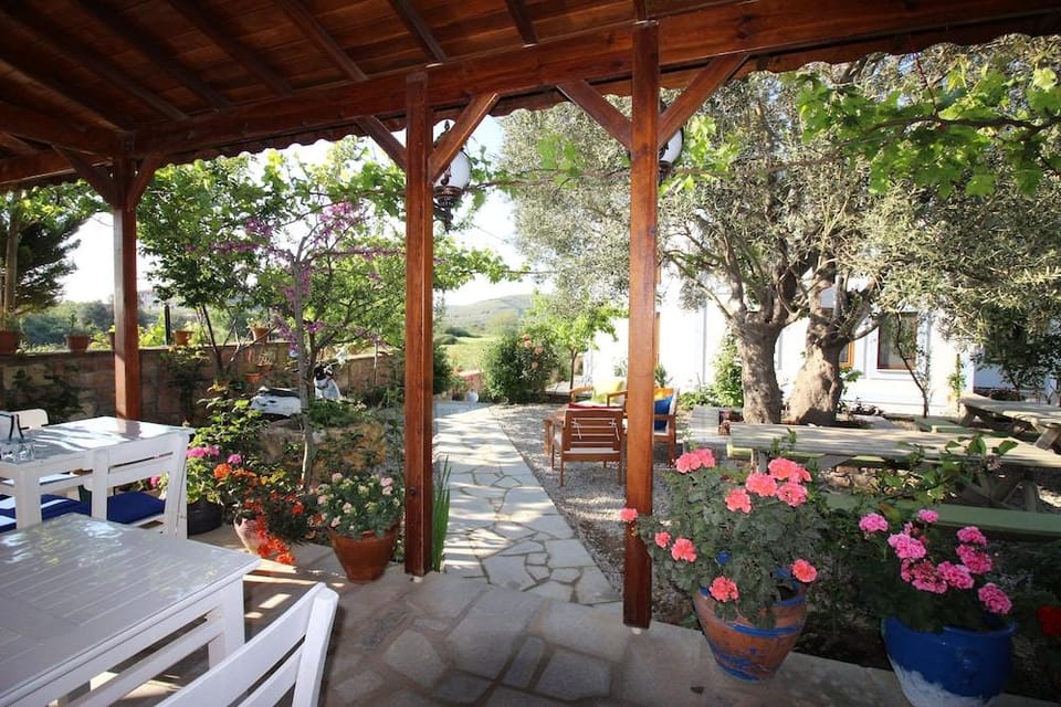 Alize Otel Hotel in Decentralized Administration of the Aegean