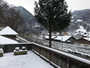 Gasthaus Steinbock Hotel in Interlaken