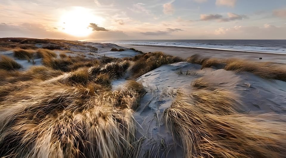 Carlton Beach Hotel in The Hague