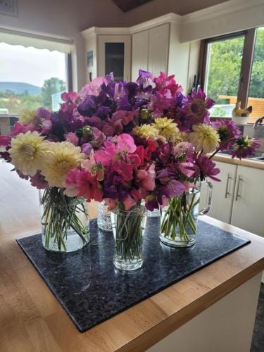 Melleray Heights Hotel in County Waterford