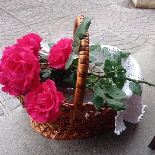 Guest Art House Aurora Hotel in Umbria