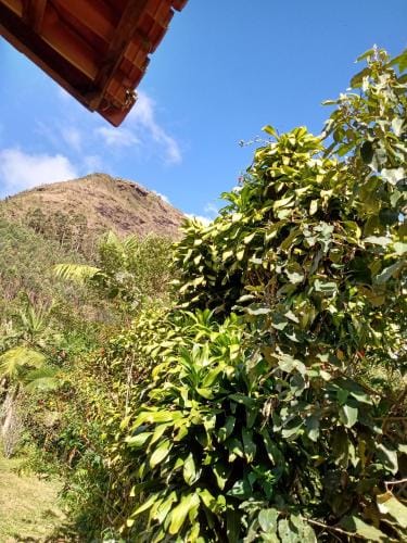 Chales do Antonio Hotel in State of Rio de Janeiro
