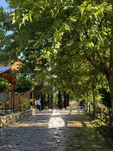 Shtegu I Gjelber- Wood Rooms Hotel in North Macedonia