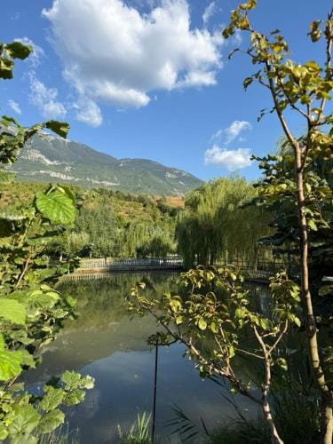 Shtegu I Gjelber- Wood Rooms Hotel in North Macedonia