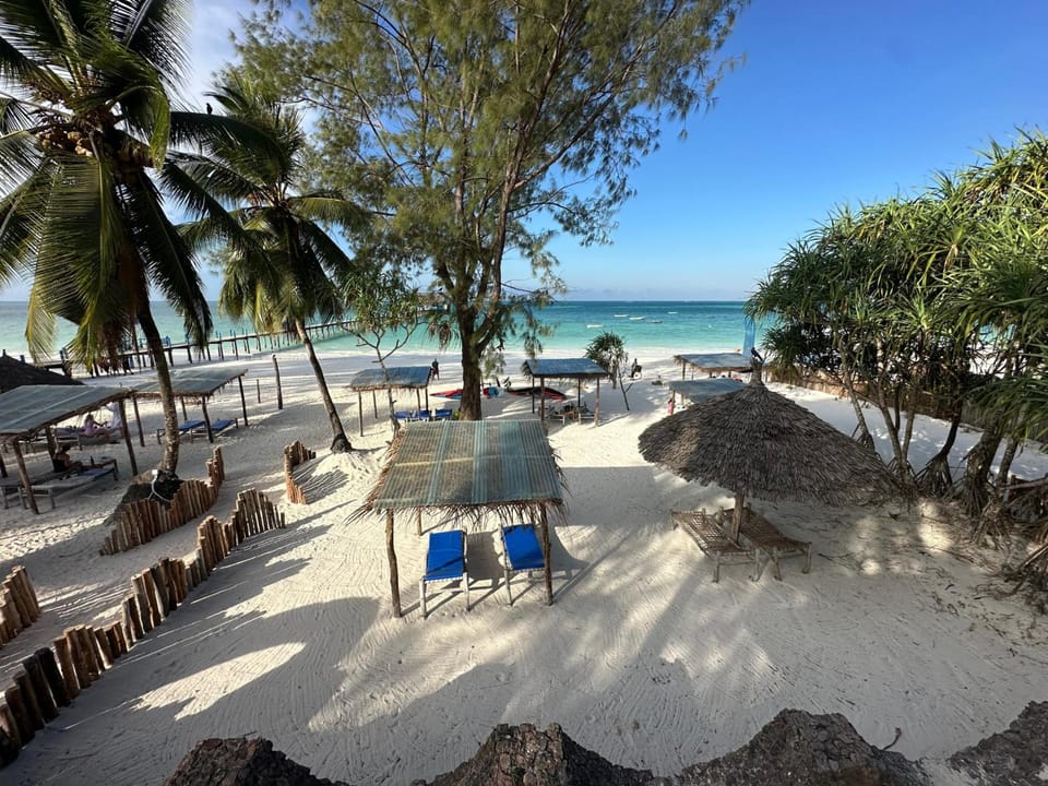 Kiwengwa Bungalow Boutique Resort Resort in Unguja North Region