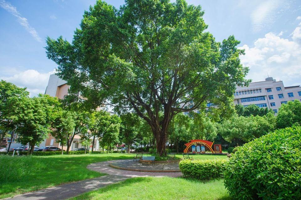 Sunshine Holiday Hotel Hotel in Fujian