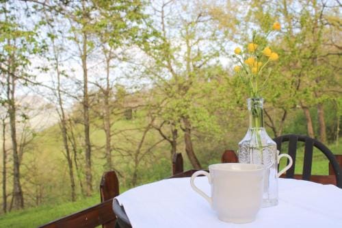 Oak Tree Ranch Hotel in Emilia-Romagna