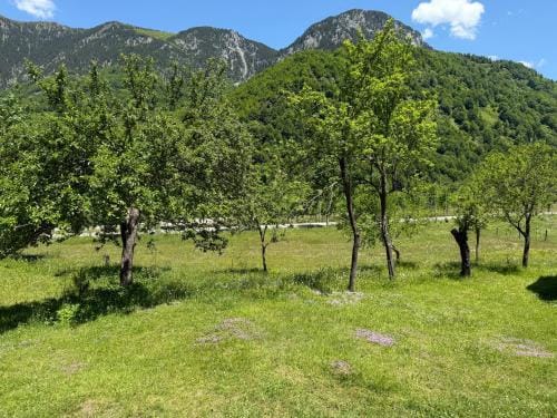 Bujtina Frati Hotel in Montenegro
