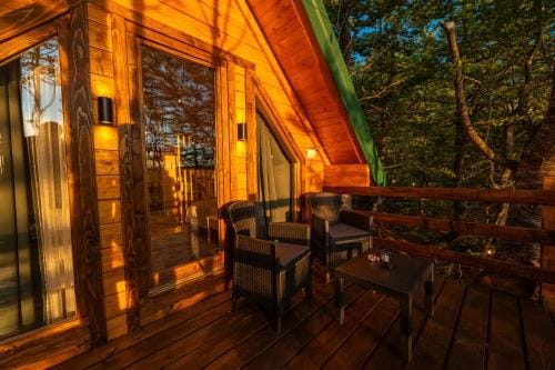 Mountain Tree House Komovi-Radunovic Lodge in Montenegro